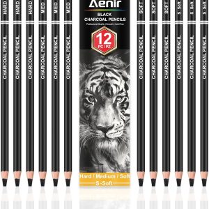 Charcoal Pencils for drawing, Set of 12, Charcoal Drawing Pencils (S-Soft, Soft, Medium, Hard), Art Supplies for Artist, Sketching, Shading